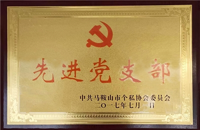 2017年榮獲先進(jìn)黨支部 